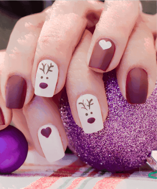 Nial Arts in Udaipur