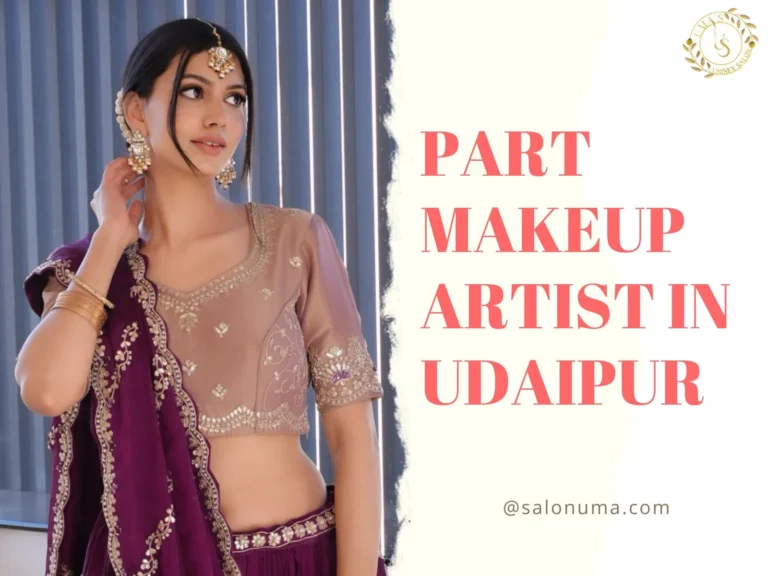 Party Makeup Artist in Udaipur