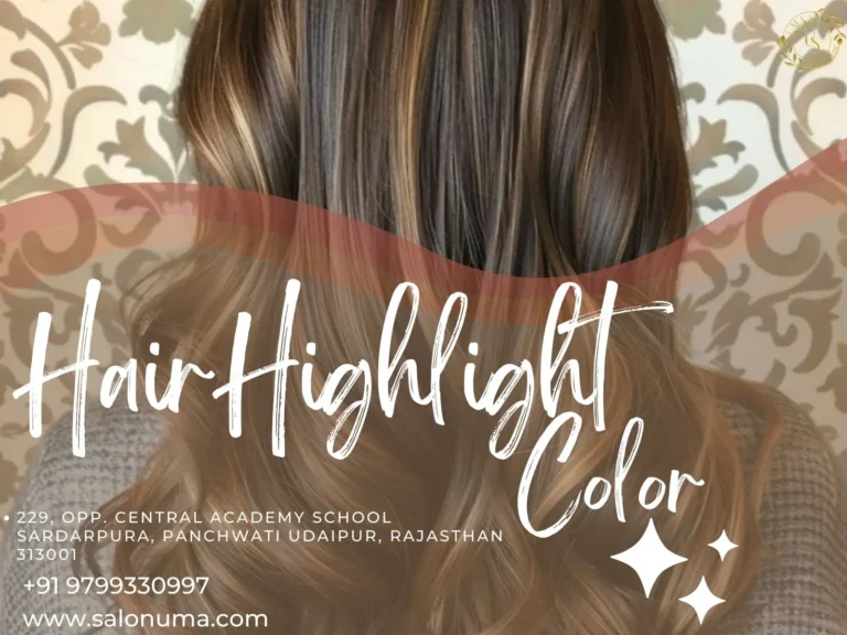 Hair Highlight Color in Udaipur